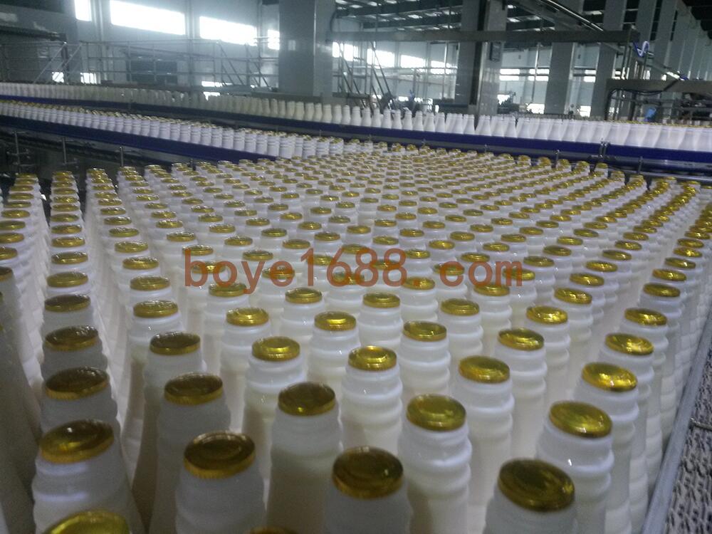 grilled-chicken-gizzards